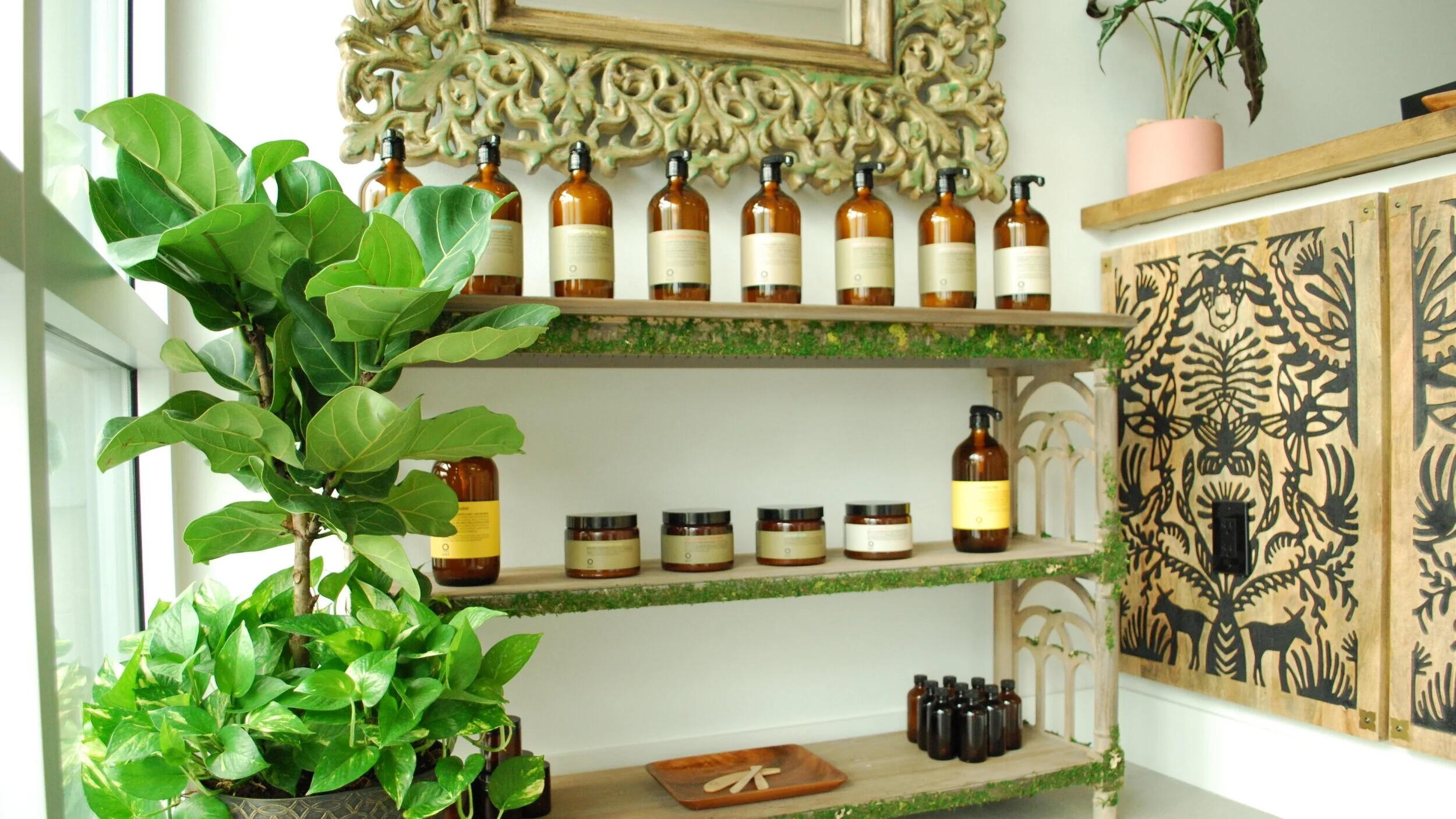 troo organic hair & wellness studio in Bradenton, FL (3)