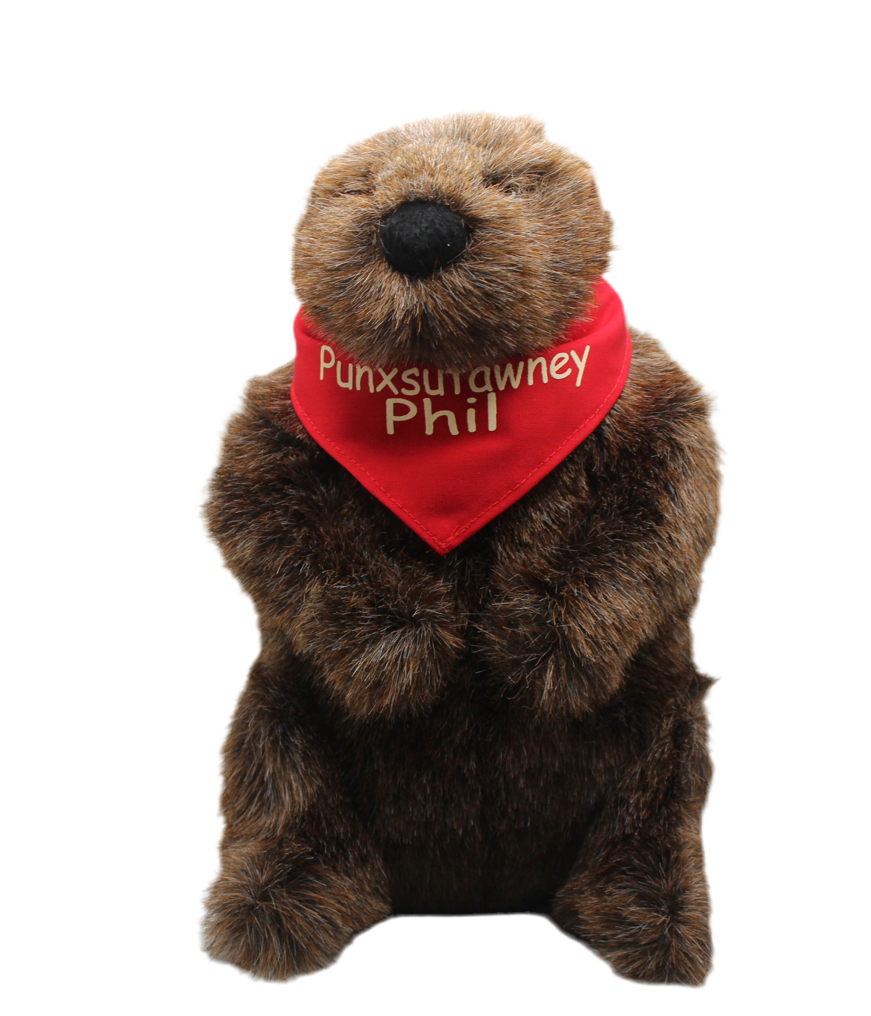Punxsutawney Phil's Official Souvenir Shop in Punxsutawney, PA (2)