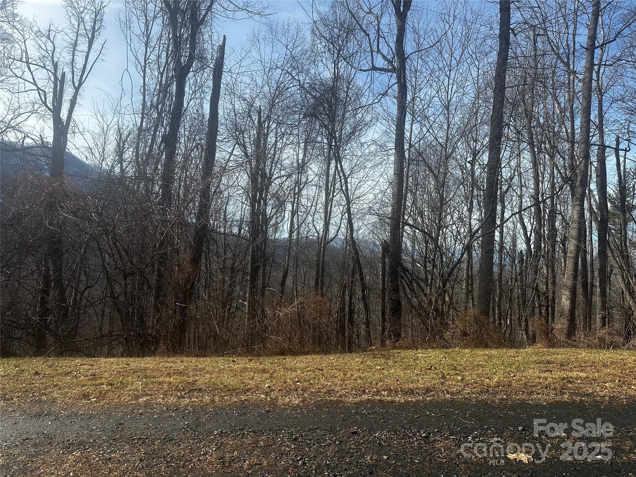 Cindy Casper, Mountain Adventure Realty in Bakersville, NC (2)