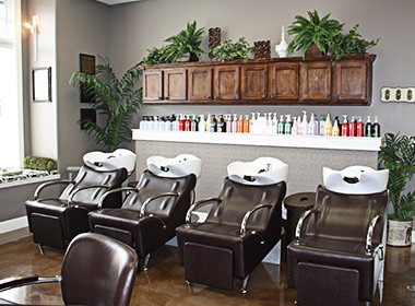 L Paradis Salon in Novato, CA (2)