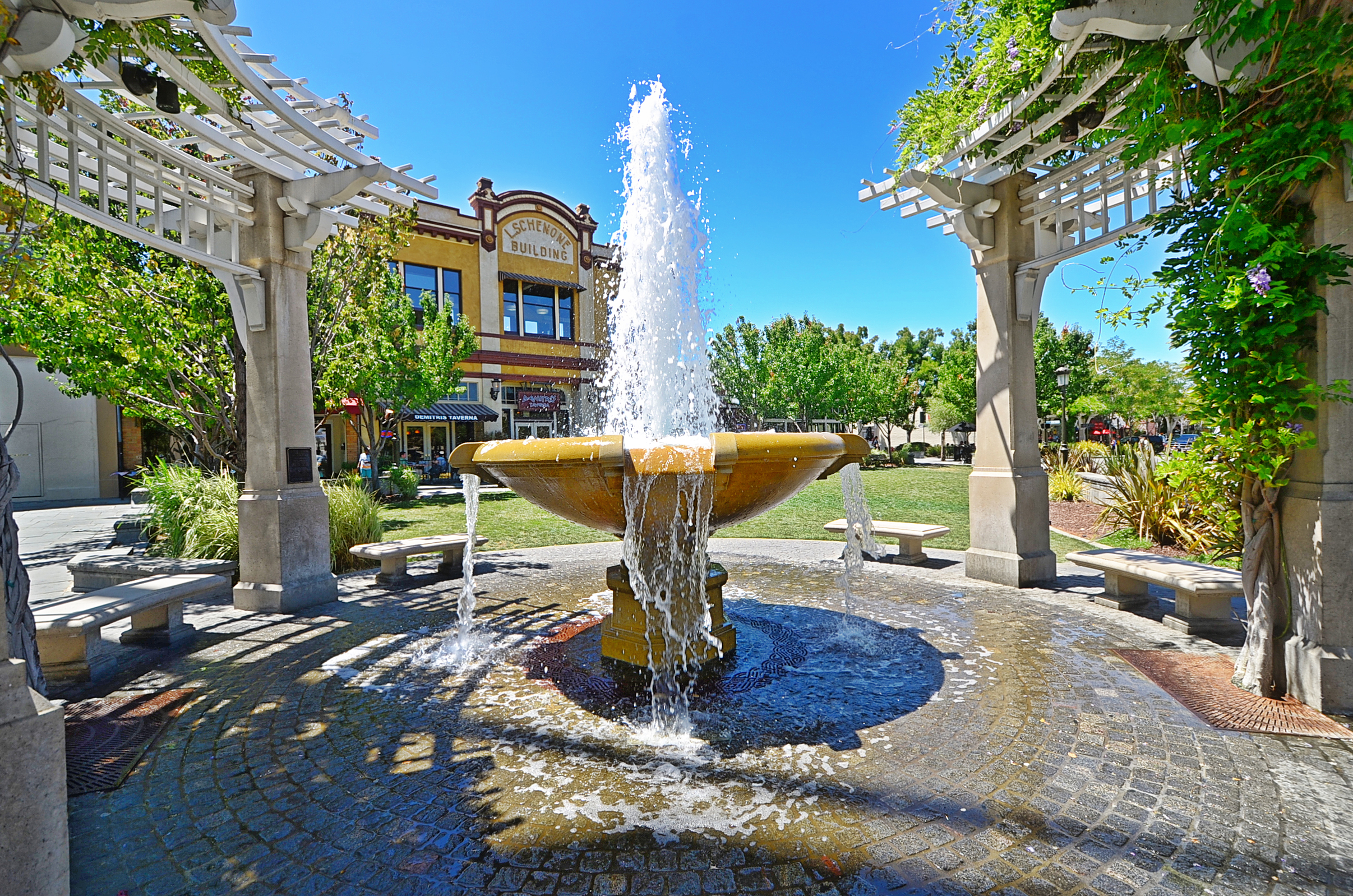 Miranda Mattos REALTOR in Livermore, CA