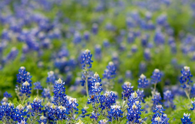 Riverside Realty & Property Mgmt - Grover Lemarr REALTOR® in Del Rio, TX (6)