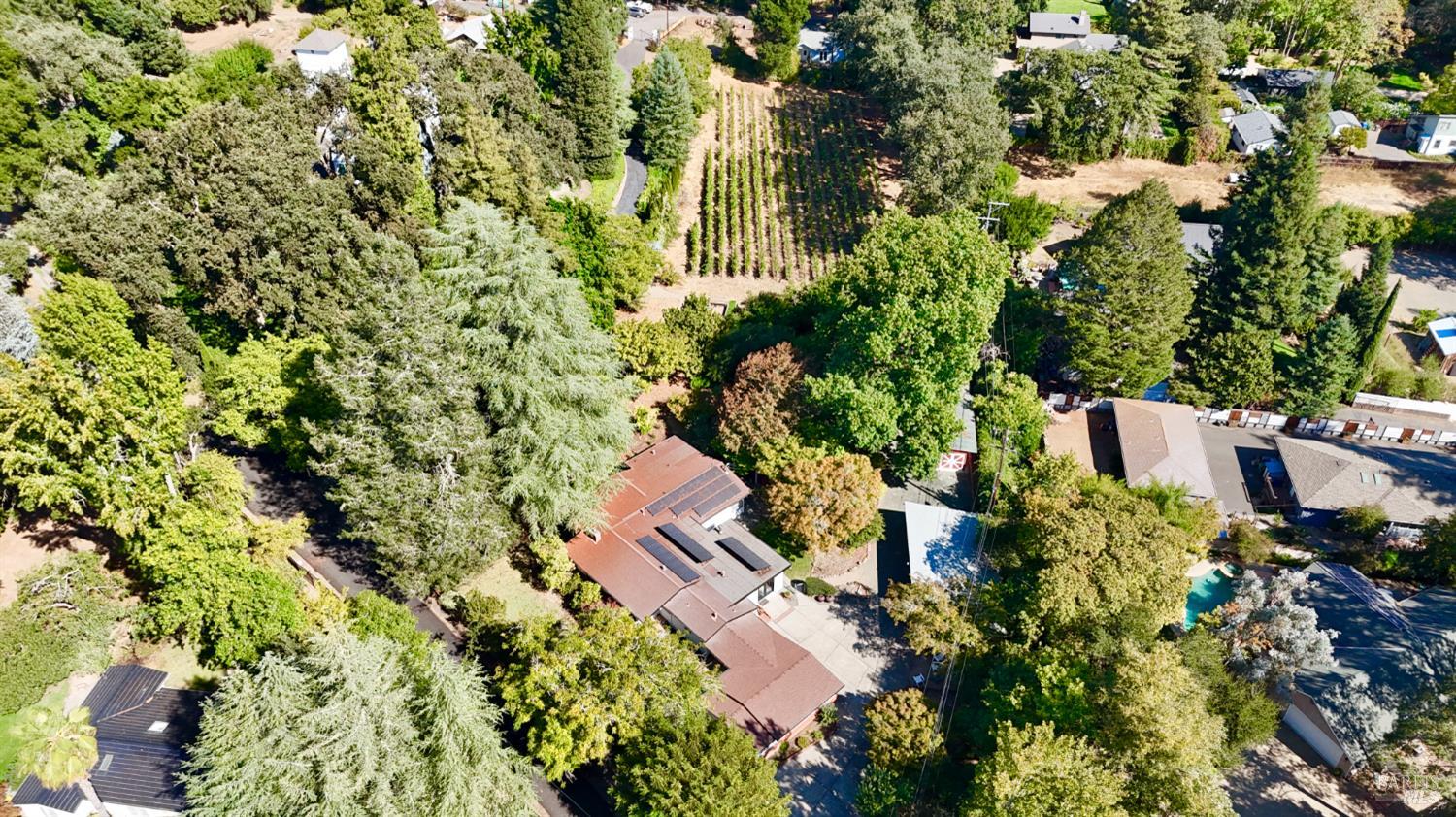 Homestead Real Estate in Napa, CA (3)