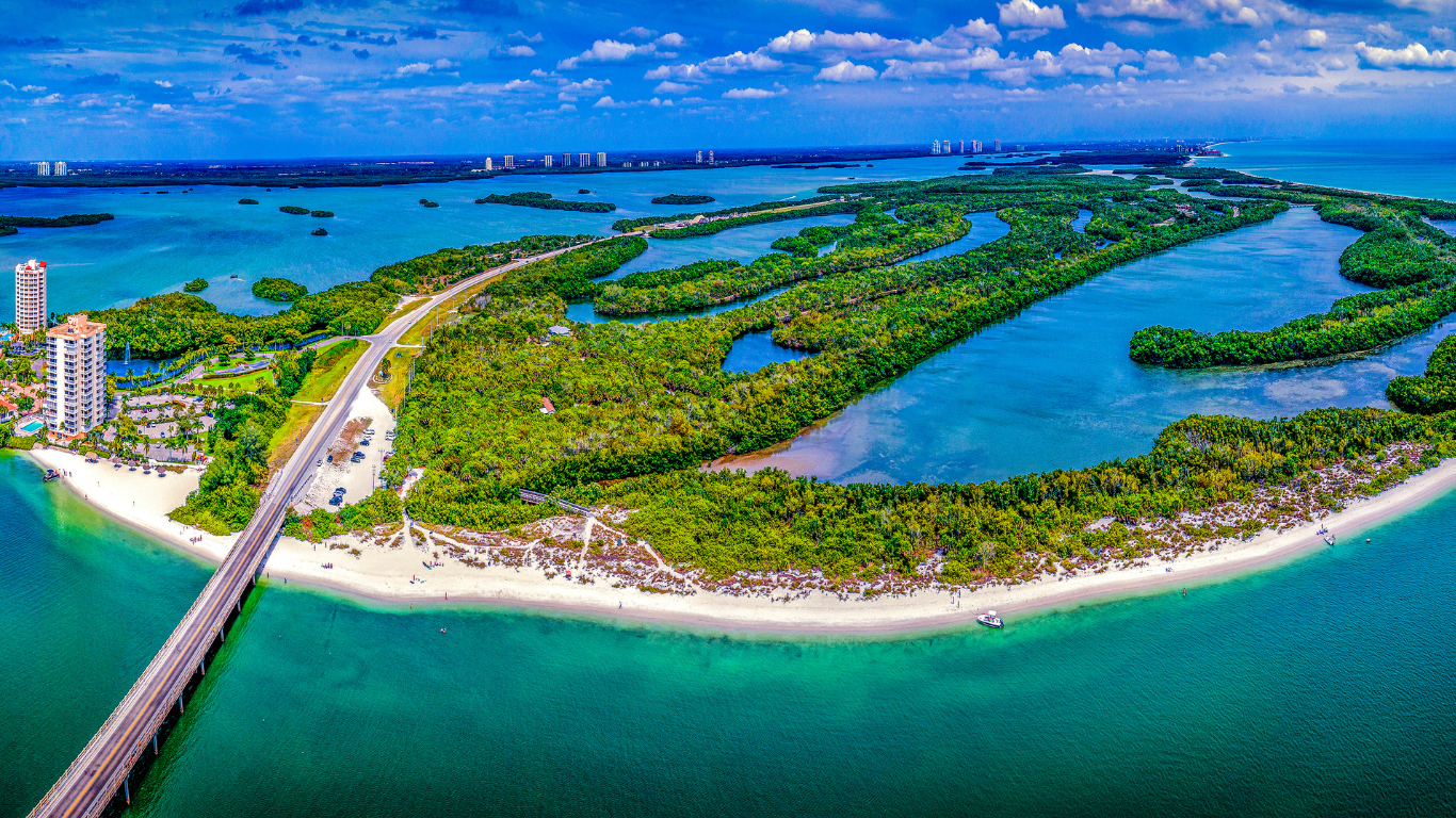 Dina Marie Realty | SWFL Realtor in Estero, FL