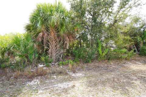 Adam Keller - Real Estate - RE/MAX Palm Realty in Port Charlotte, FL (3)