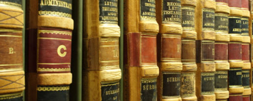 Nancy Sherman Law Office PC in Great Neck, NY (3)