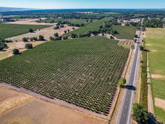 Stromer Realty Company of California in Yuba City, CA (2)