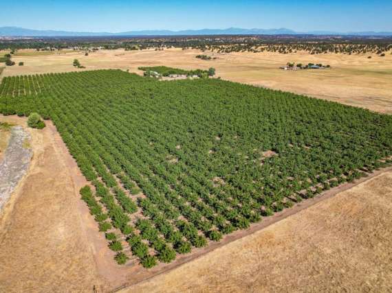 Stromer Realty Company of California in Yuba City, CA (3)