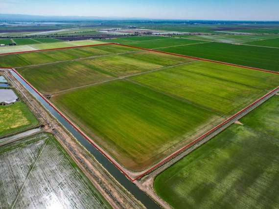 Stromer Realty Company of California in Yuba City, CA (6)