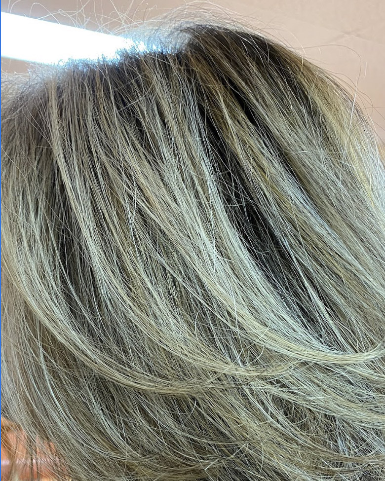 Paris Hair The New Look in Temple Terrace, FL