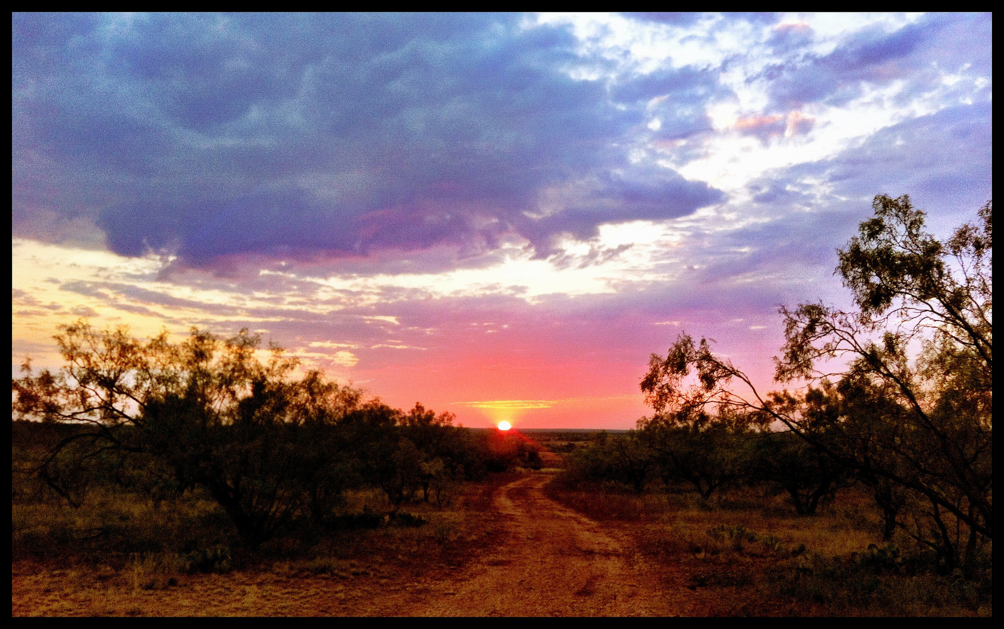 Gunter Texas in Gunter, TX (6)