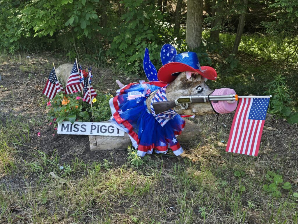 Blossburg in Blossburg, PA (3)