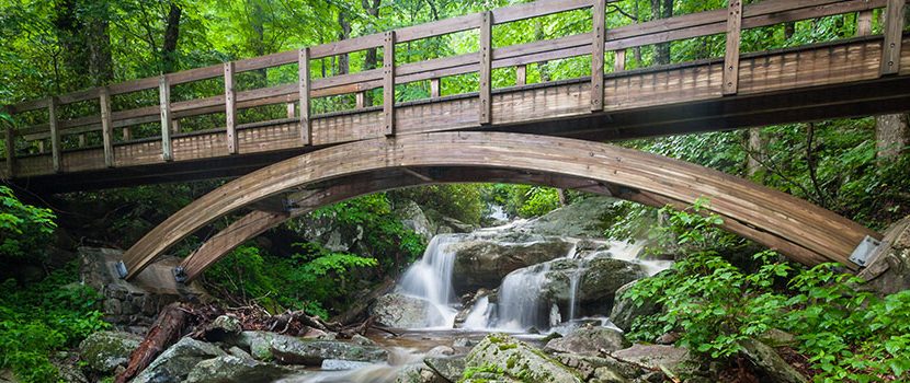 Peak Mountain Properties Inc in West Jefferson, NC (2)