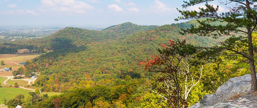 Peak Mountain Properties Inc in West Jefferson, NC (3)