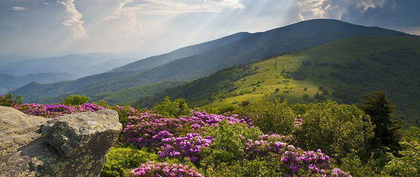 Peak Mountain Properties Inc in West Jefferson, NC (4)