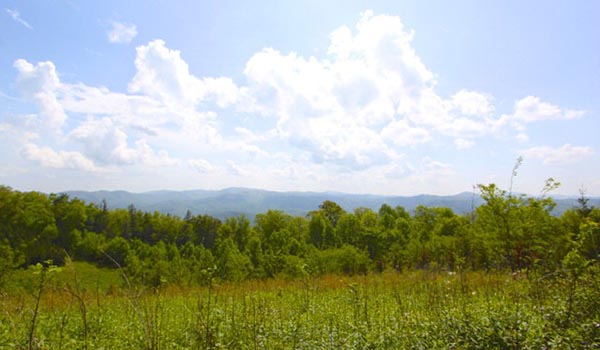 Peak Mountain Properties Inc in West Jefferson, NC (6)