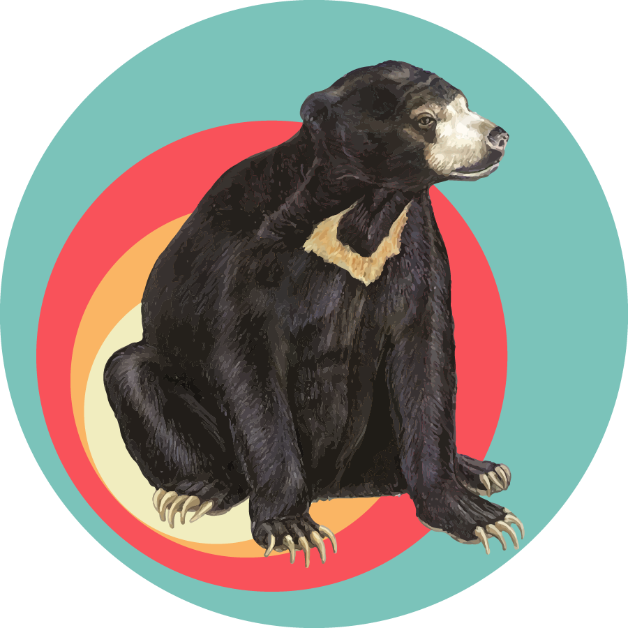 Sun Bear Specialty Coffee Roasters in St. Petersburg, FL (2)