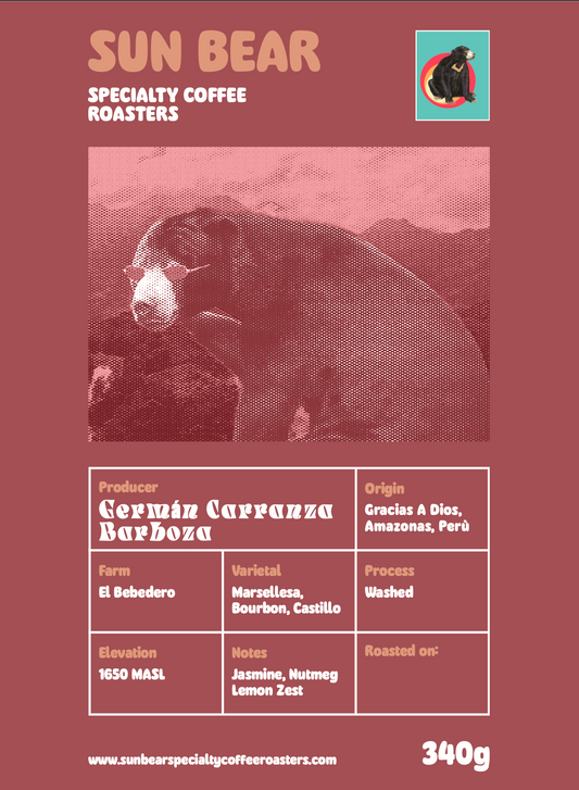 Sun Bear Specialty Coffee Roasters in St. Petersburg, FL (5)