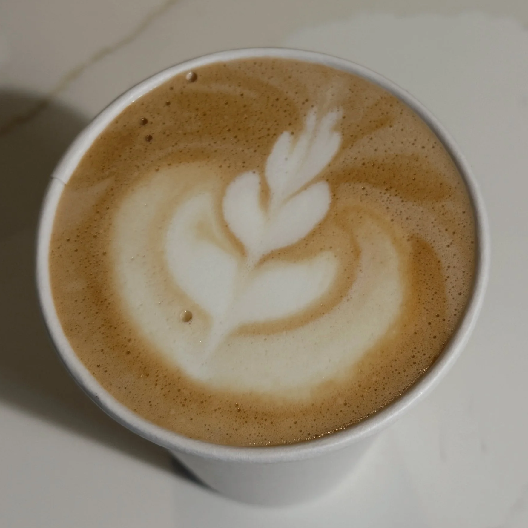 White Crab Coffee and Books in Topsail Beach, NC