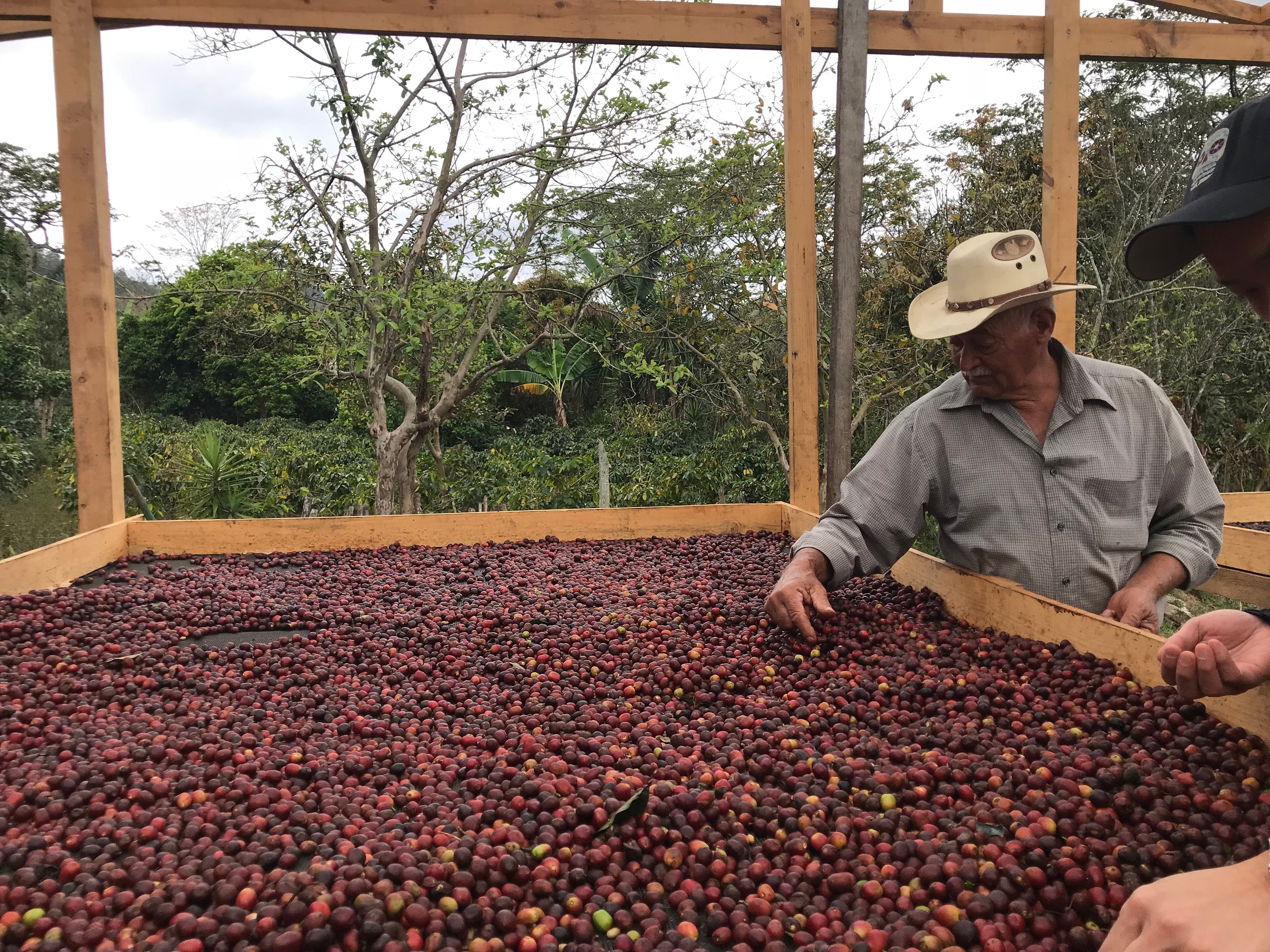 Katï Coffee Roastery in Georgetown, TX (2)