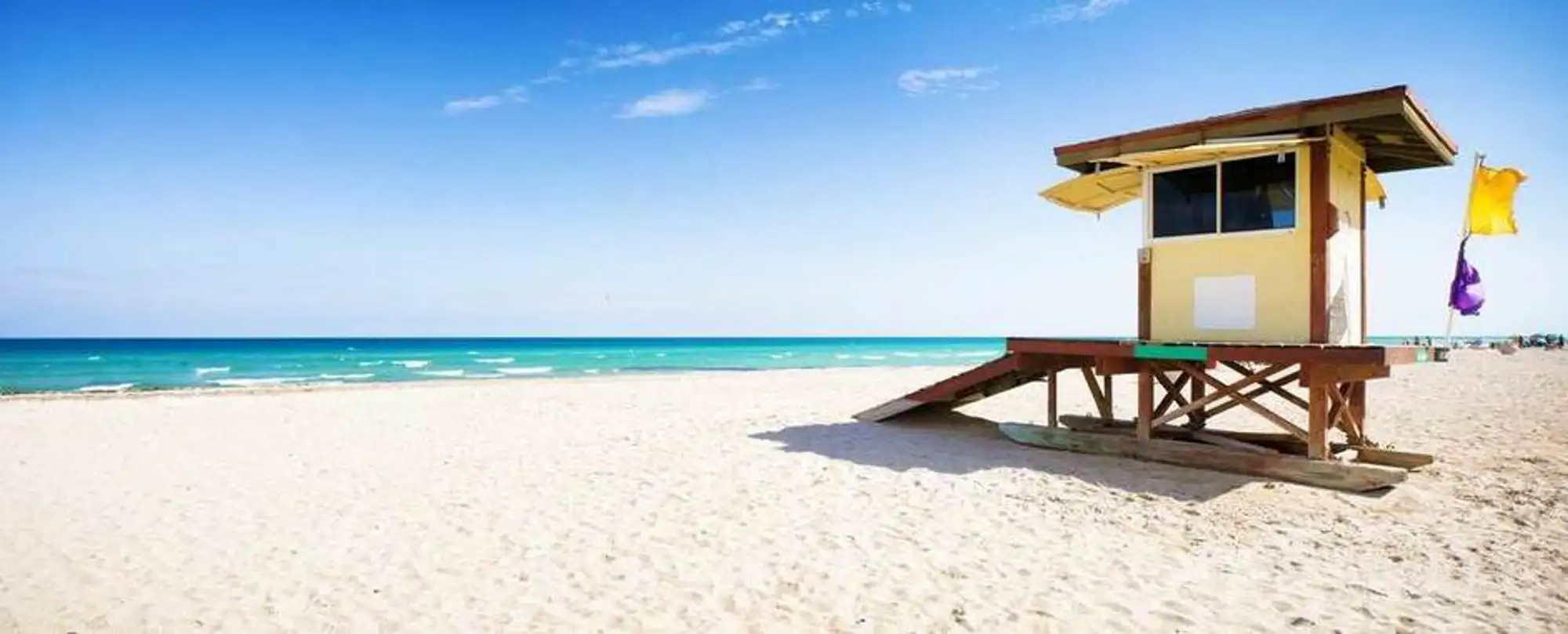 ALLIED PROFESSIONAL SERVICES LLC in St Cloud, FL