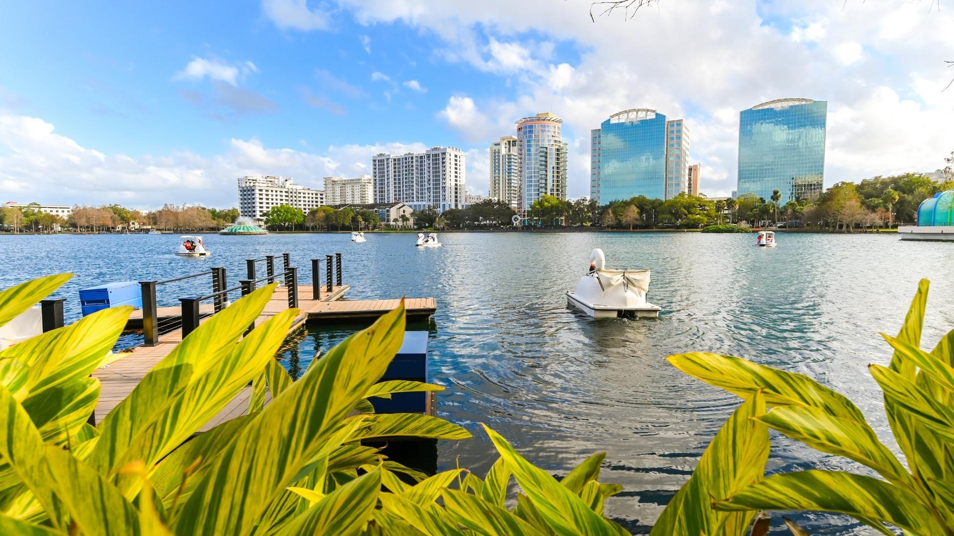 ALLIED PROFESSIONAL SERVICES LLC in St Cloud, FL (2)