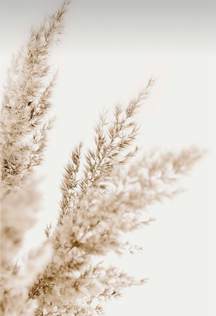 Abloom Aesthetics in Stockbridge, WI