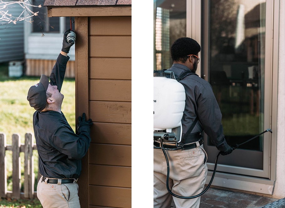 Champion Pest & Termite Control in Pickerington, OH