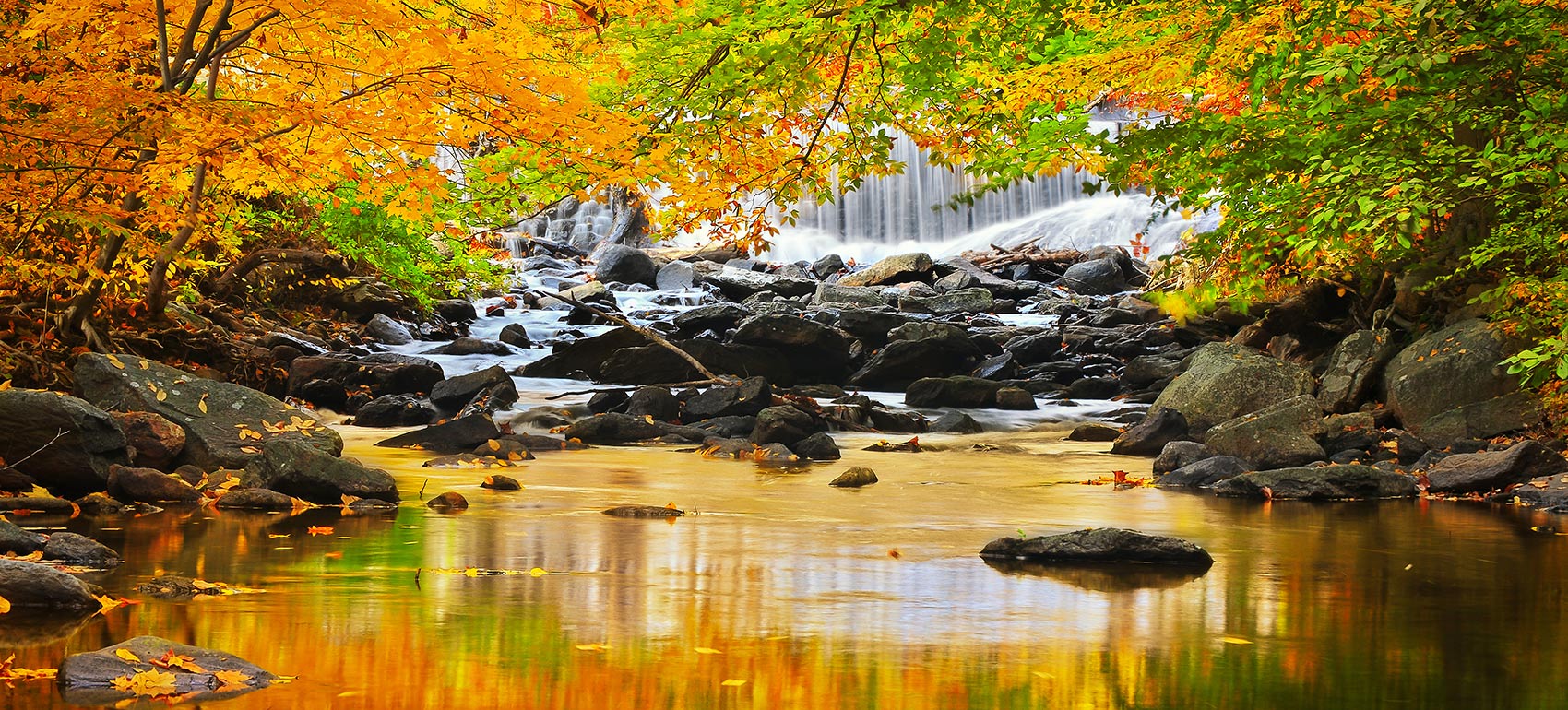 Mary Hedden Properties in Hiawassee, GA