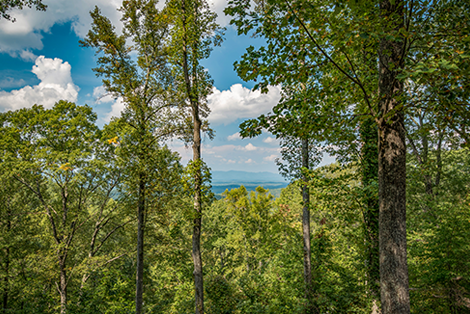 Mary Hedden Properties in Hiawassee, GA (2)