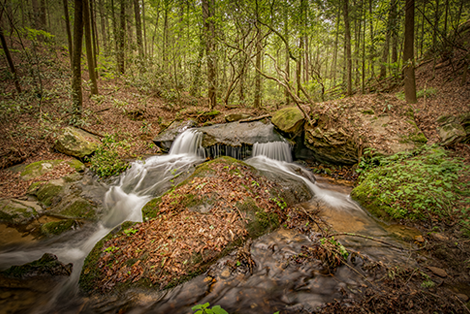 Mary Hedden Properties in Hiawassee, GA (3)