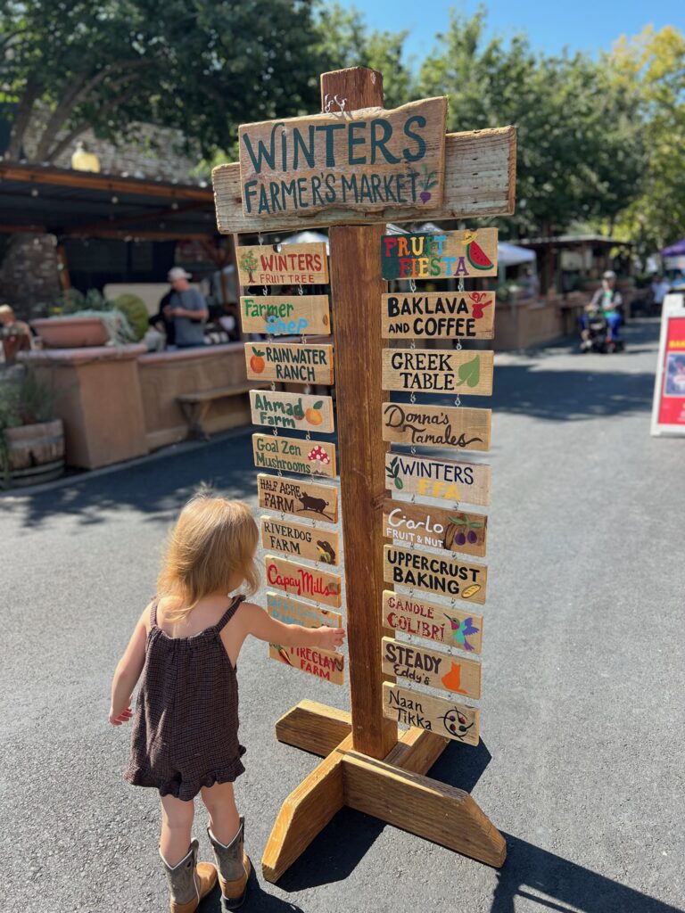 Winters Visitor Center & Chamber of Commerce in Winters, CA (5)