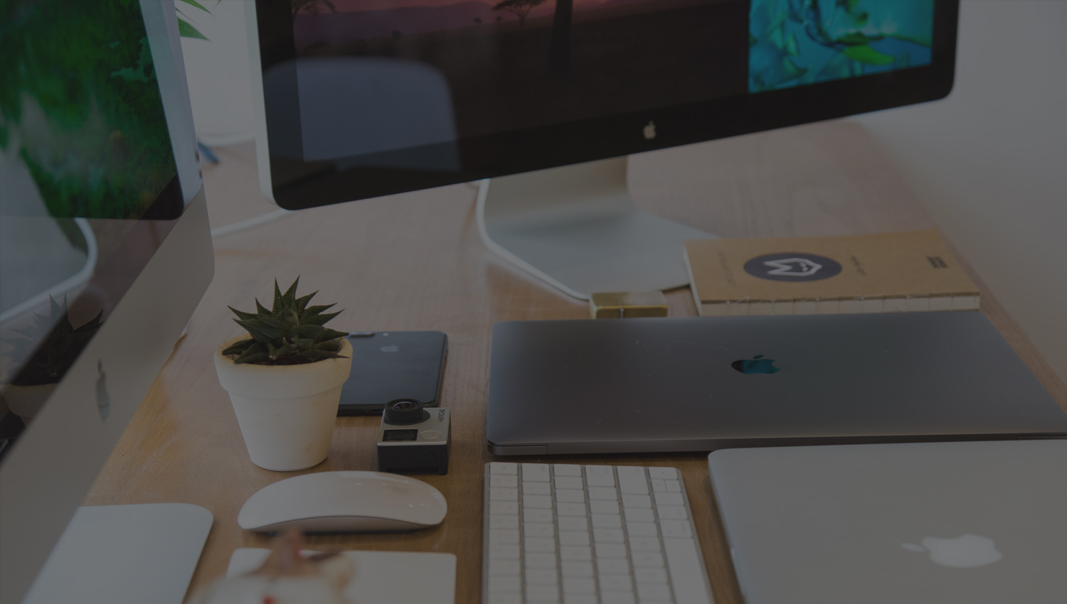 Invidica Financial Services in Steinhatchee, FL