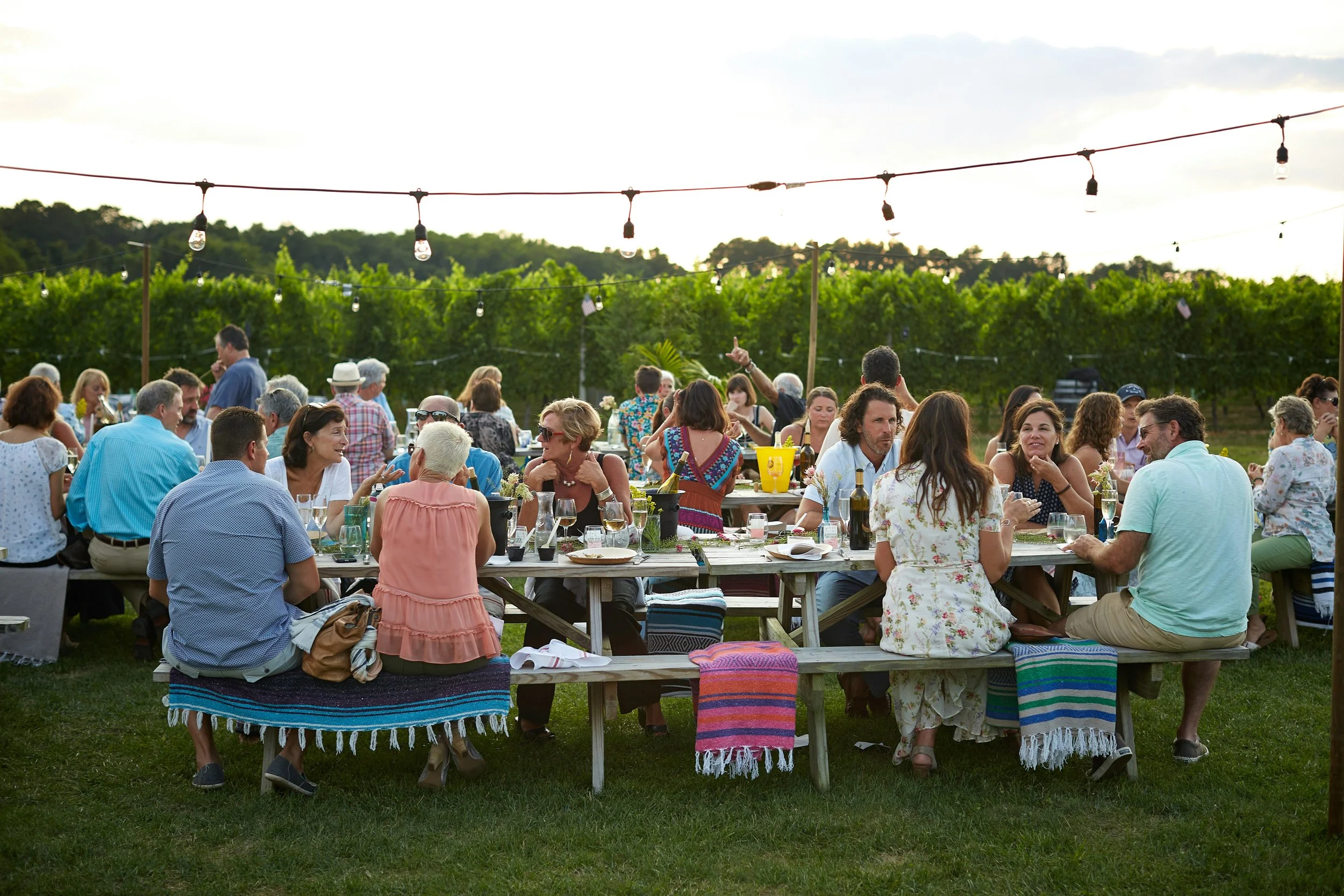 Mountain Haze Beer Garden in Rutherfordton, NC (2)