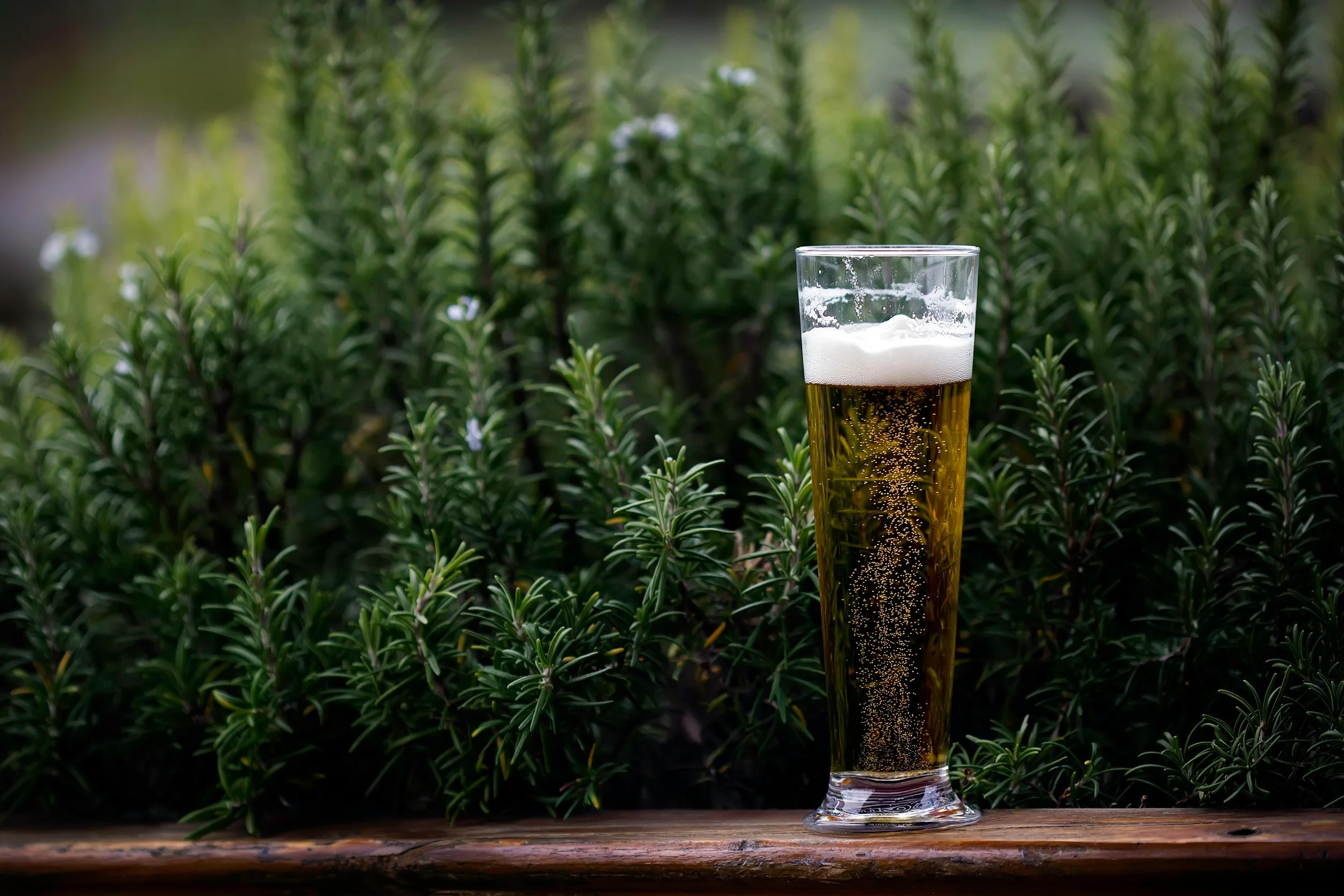 Mountain Haze Beer Garden in Rutherfordton, NC (5)
