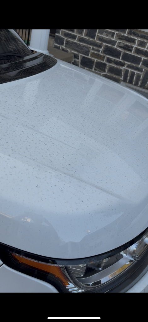 Rossetti Auto Detailing in Norristown, PA