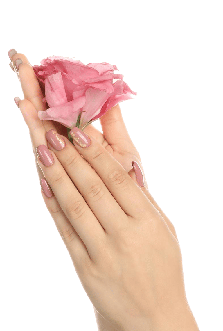 🎀Coquette Nails 🎀 in Harrisburg, NC