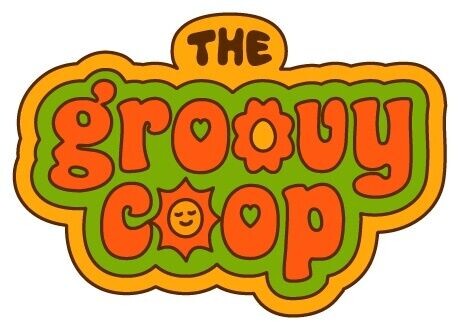 The Groovy Coop in McKinney, TX (2)