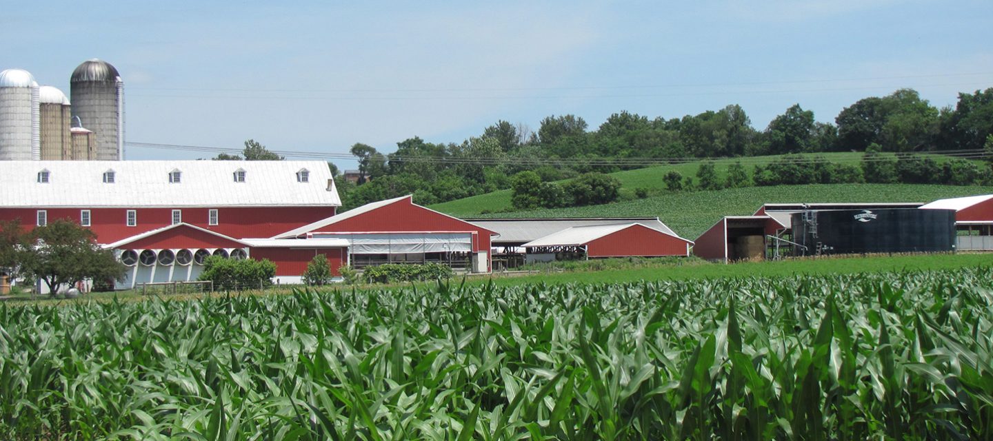 Fox Meadows Creamery - Ephrata in Ephrata, PA (4)