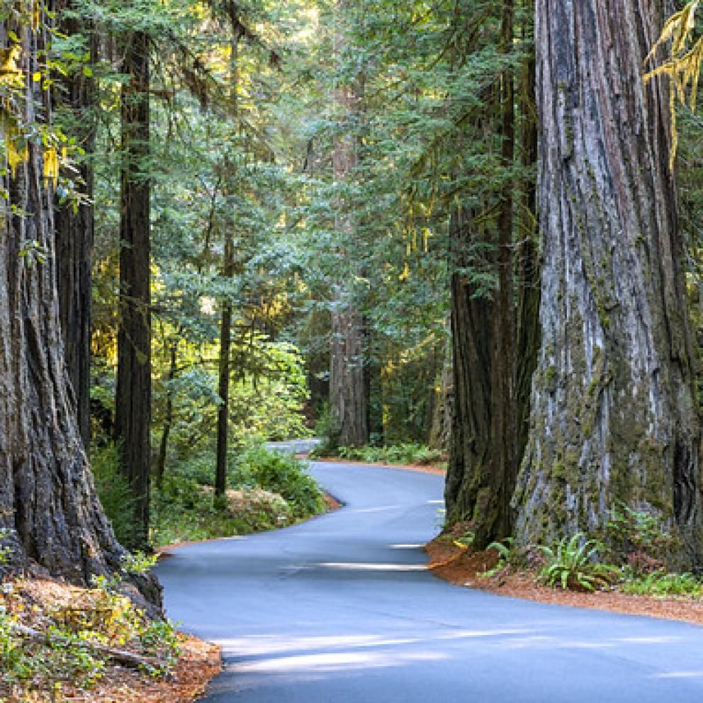 Student & Business Services in Arcata, CA (3)