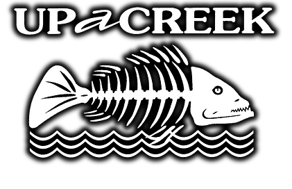 Up a Creek Tavern in Warren, OH (3)
