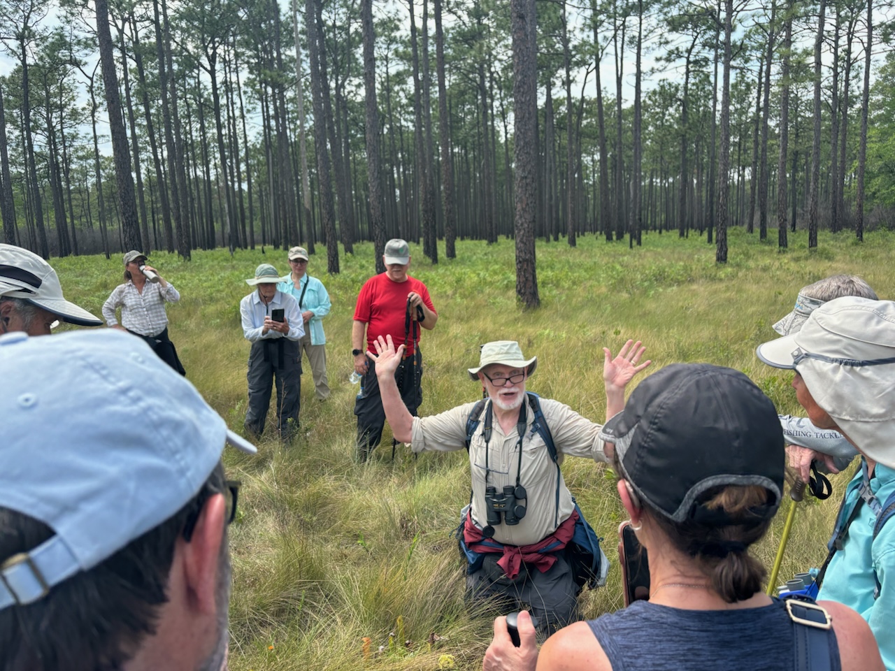 Green Swamp Preserve in Supply, NC (4)