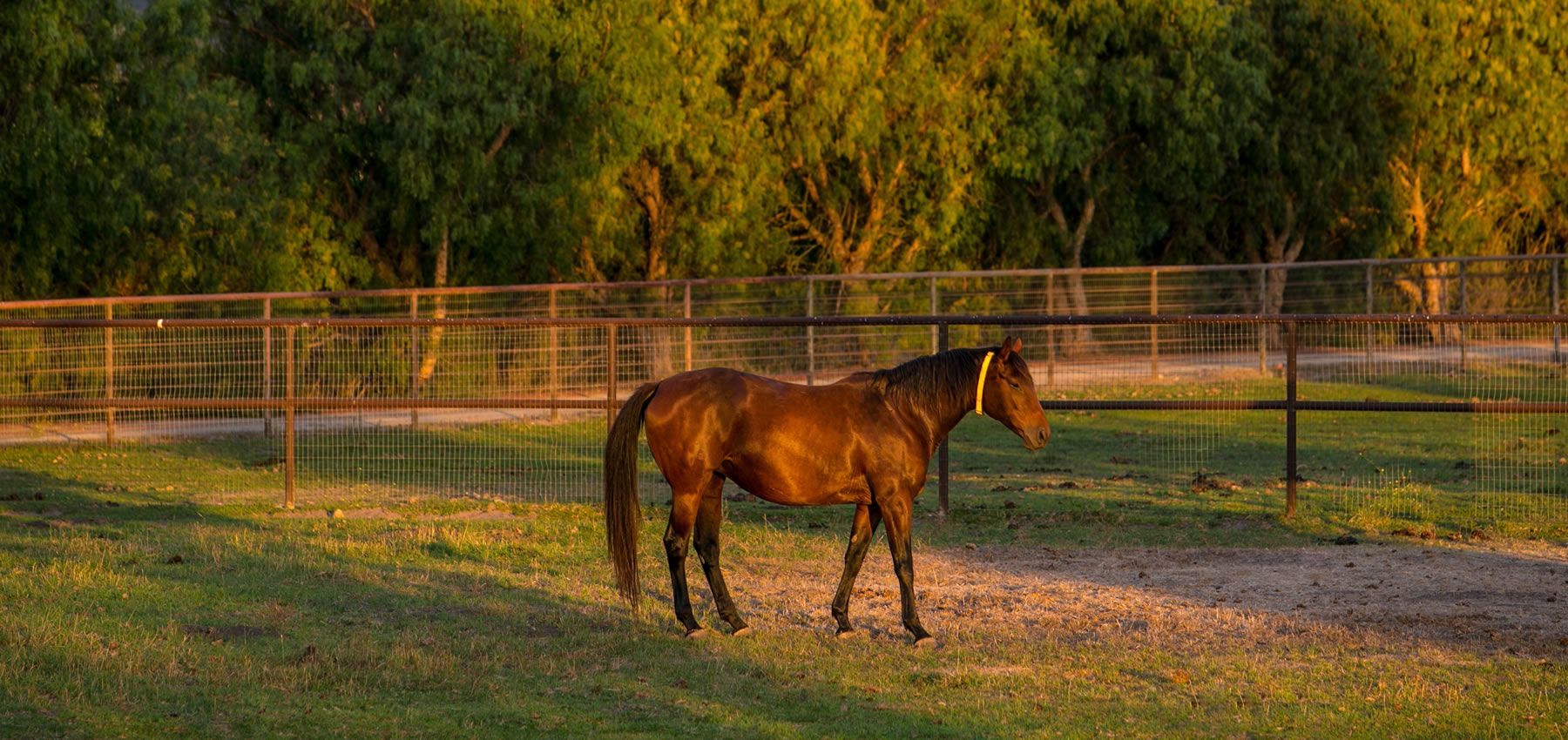 Deanna Harwood in Los Olivos, CA (3)