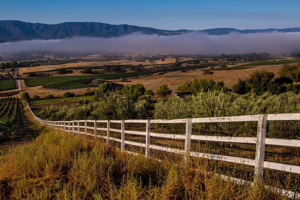 Deanna Harwood in Los Olivos, CA (6)
