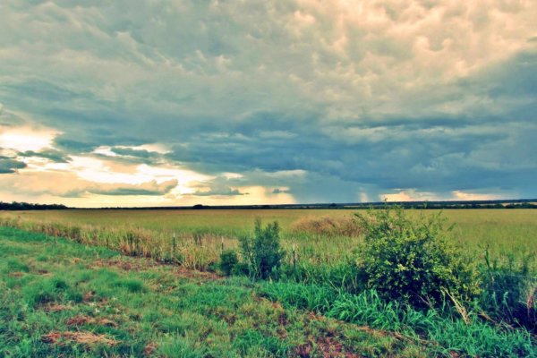 Beeville Home Real Estate in Beeville, TX (5)