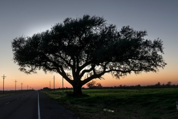 Beeville Home Real Estate in Beeville, TX (6)