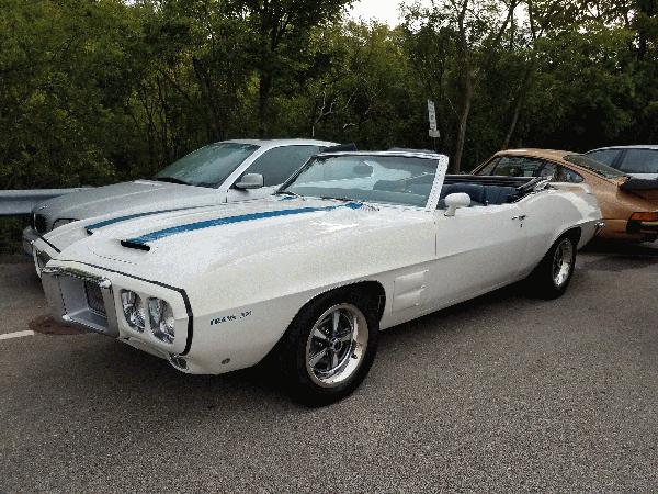 Europa Imports in Winnetka, IL (5)