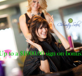 Chemistry Salon in Ocala, FL (6)