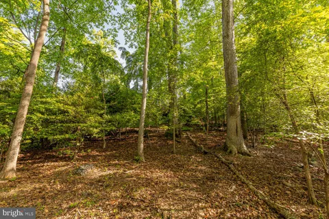 SHELLEY STUART REAL ESTATE in Greenbelt, MD (2)