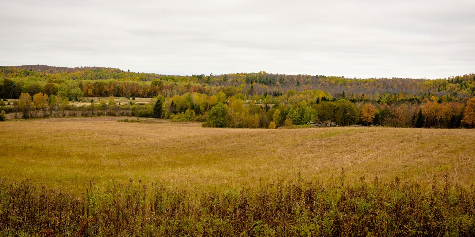 By the Bay Realty: Jill Hendrickson in Ashland, WI (6)